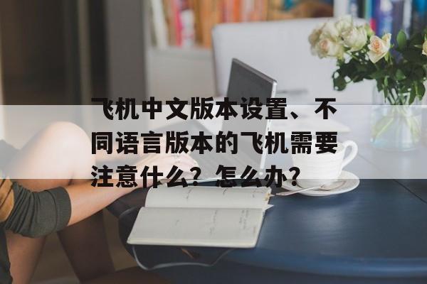 飞机中文版本设置、不同语言版本的飞机需要注意什么？怎么办？